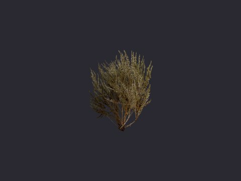 Desertgreenfanshrub Tankdrive2