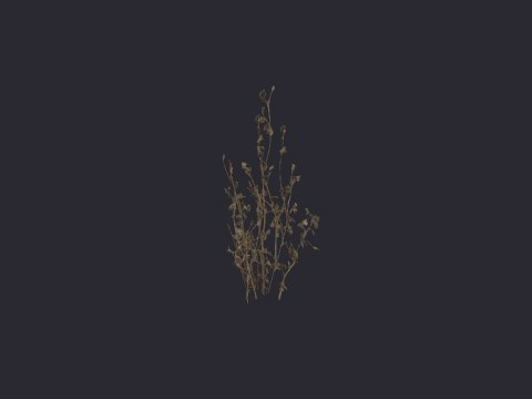 Desertshrubbrownmid