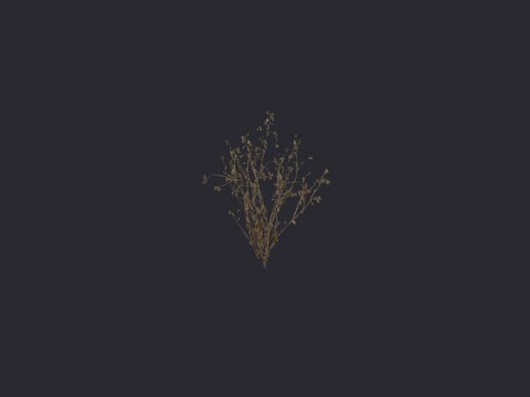 Desertshrubbrowntall