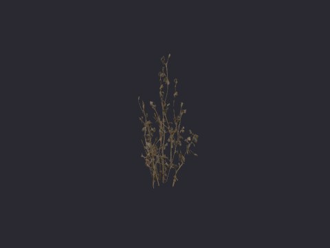 Desertshrubgraymid