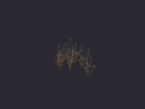 Desertshrubgroup01