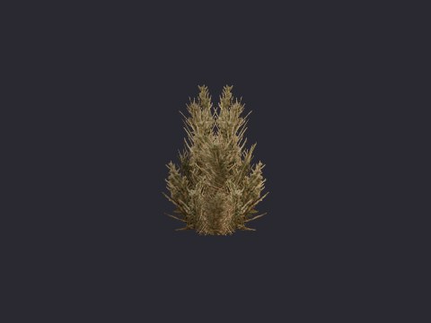 Desertspikeyshrub