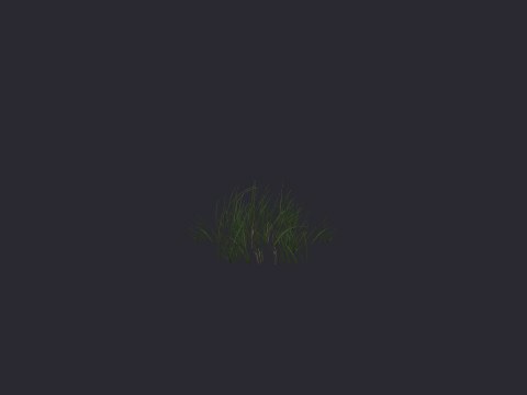 Newgrass Squareclump