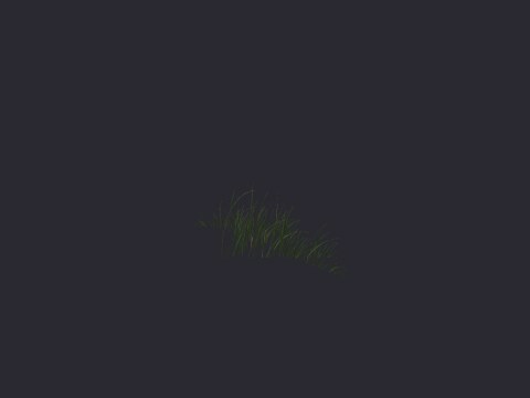 Newgrass Triangularclumpshort