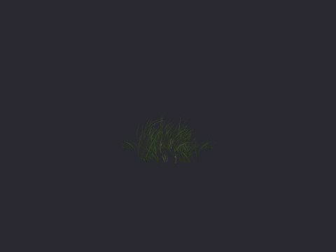 Shortnewgrass Squareclump