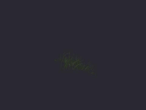 Shortnewgrass Triangularclumpshort