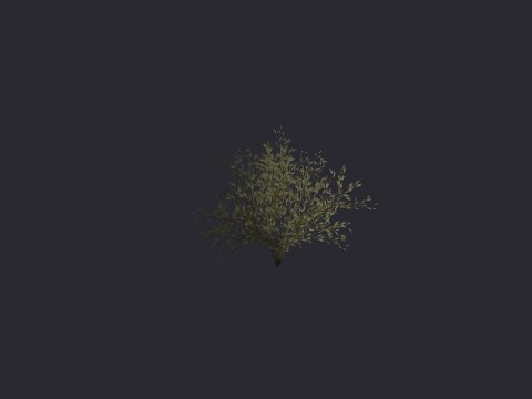 Toujanebigbushy