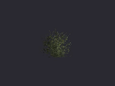 Caen Bush Full 01
