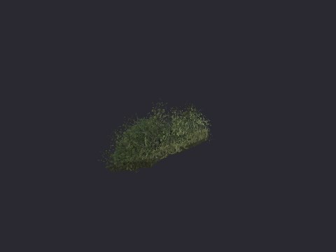 Caen Hedge Wall 2