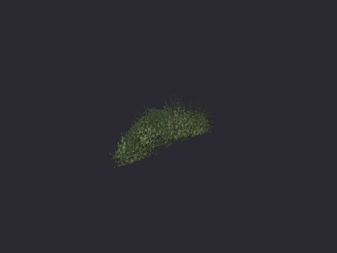 Caen Hedge Wall 3