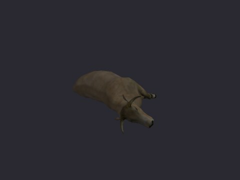 Cow Dead 1