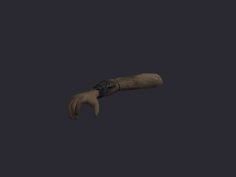 Mannequin Arm R