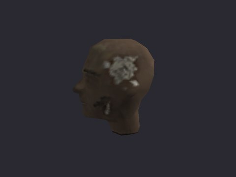 Mannequin Head