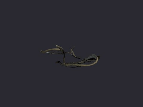 Bike Destroyed