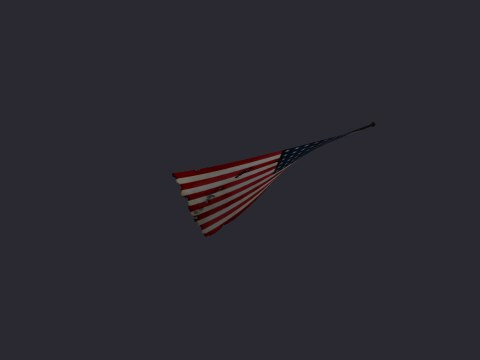 Flag American Carry