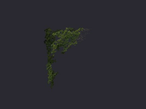 Ivy Corner 1