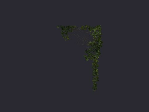 Ivy Corner 2