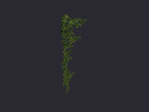 Ivycornersingle01