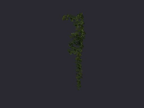 Ivycornersingle02