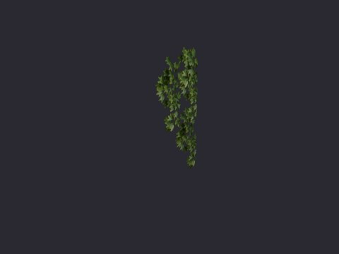 Ivyedgehorizontal02