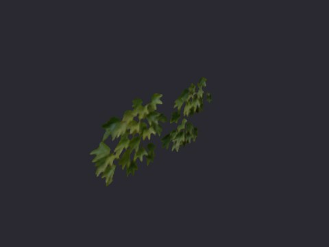 Ivysmallclump01