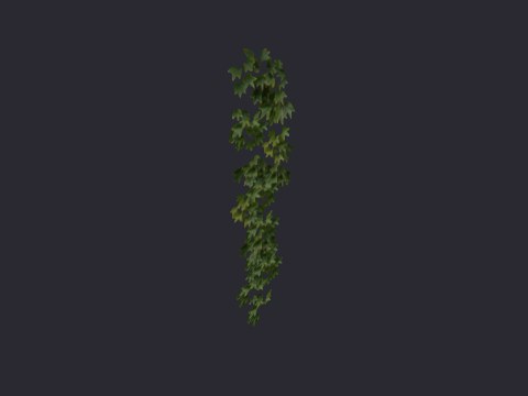 Ivysmallverticle01
