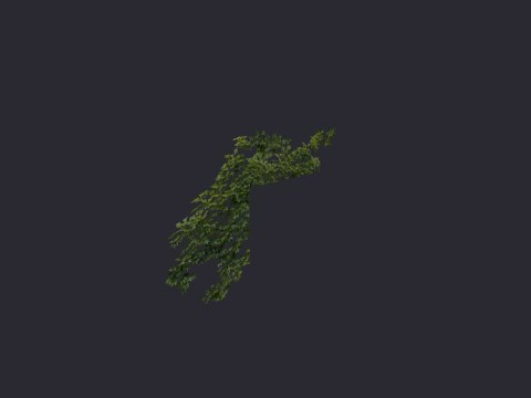 Ivywindowcornertop01