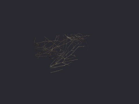 Vinecorner01