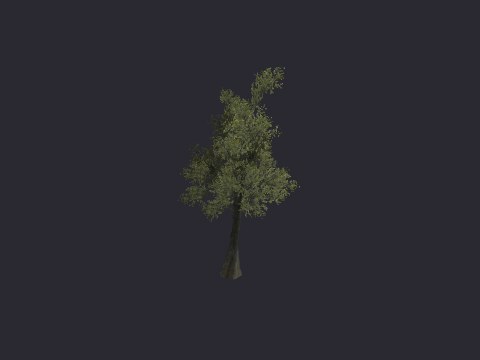 Shadow Tree Grey Oak Med A