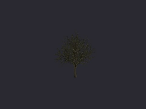 Desertbushy