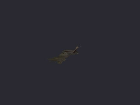 Desertpalmfrond