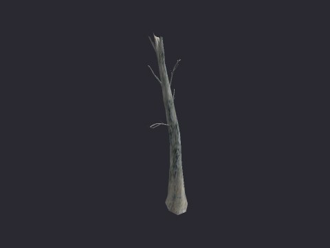 Destoyed Snow Trunk B