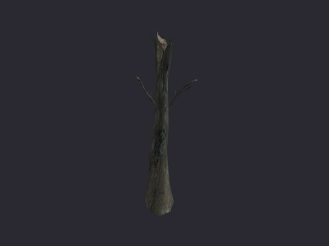 Destoyed Trunk A