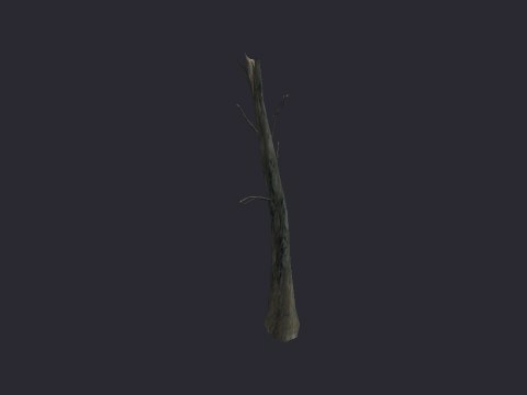 Destoyed Trunk B