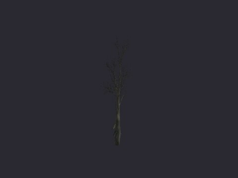 Destroyed Fallen Tree A