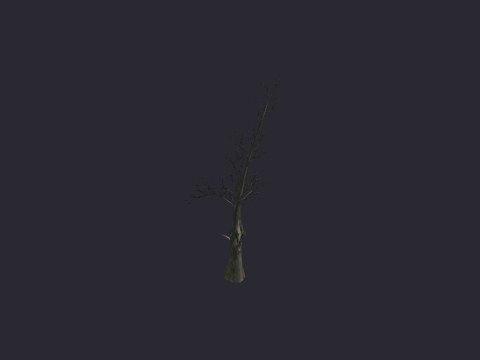 Destroyed Tree B