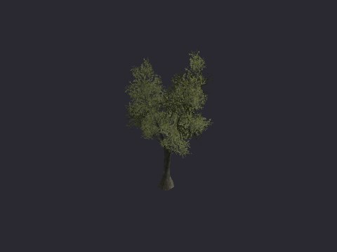 Grey Oak LG A