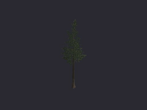 Pine SM B