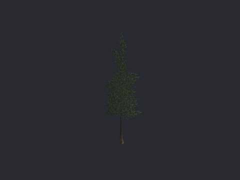 Pine XL B