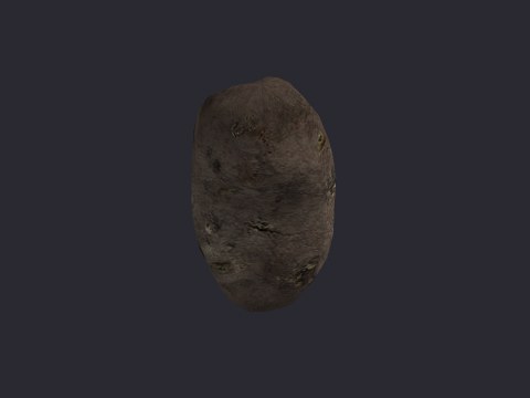 Potato